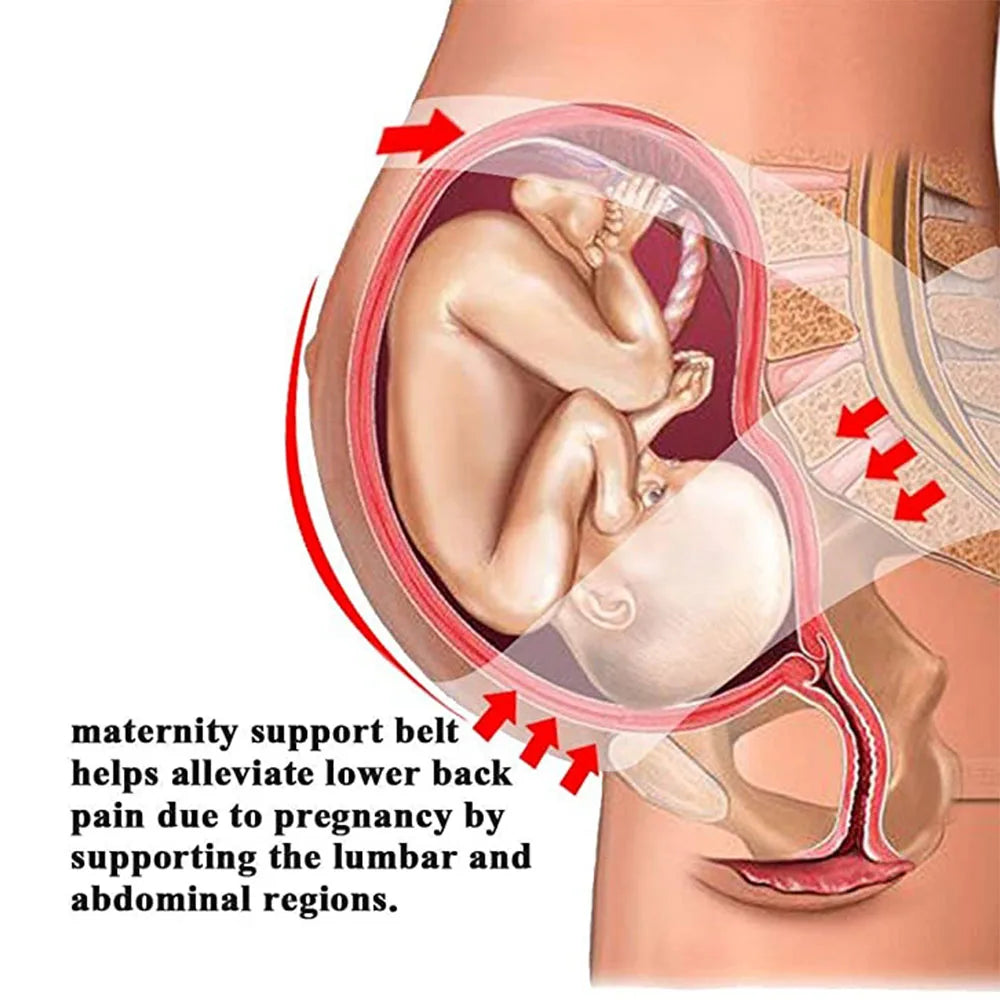 Cinto de sustentação Abdominal para Gestantes