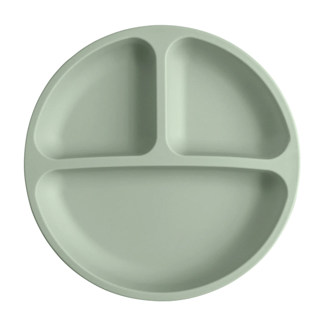 Conjunto de Pratos de Silicone Infantil