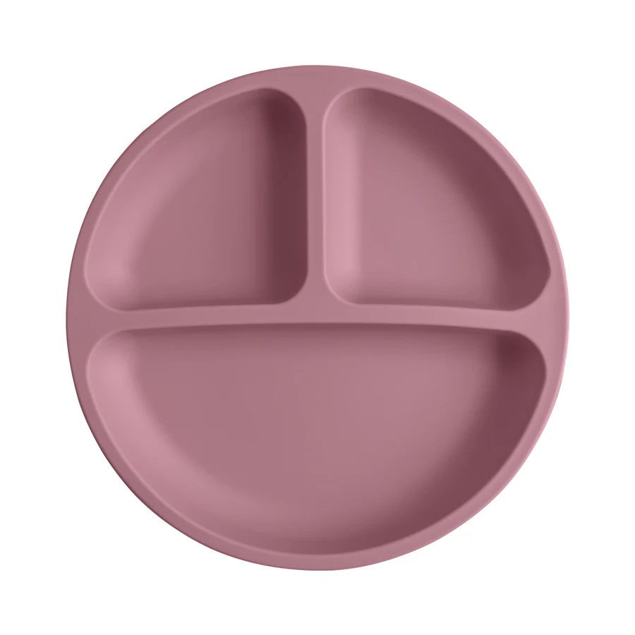 Conjunto de Pratos de Silicone Infantil